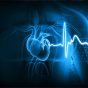 Human,Heart,With,Ecg,Graph.,3d,Illustration