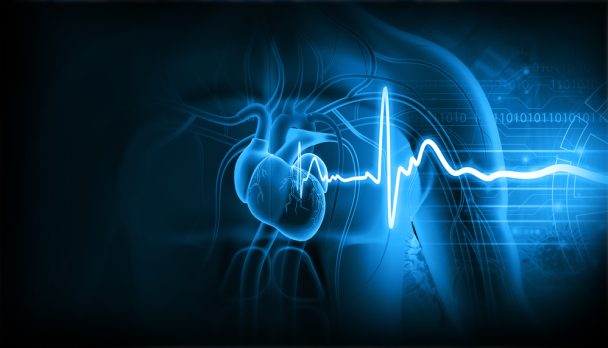 Human,Heart,With,Ecg,Graph.,3d,Illustration