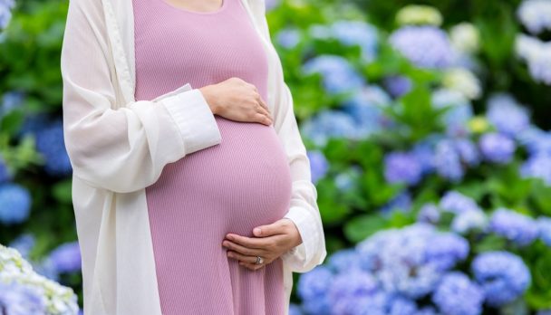 Pregnant,Woman,Hold,With,Her,Tummy,At,Hydrangea,Flower,Garden